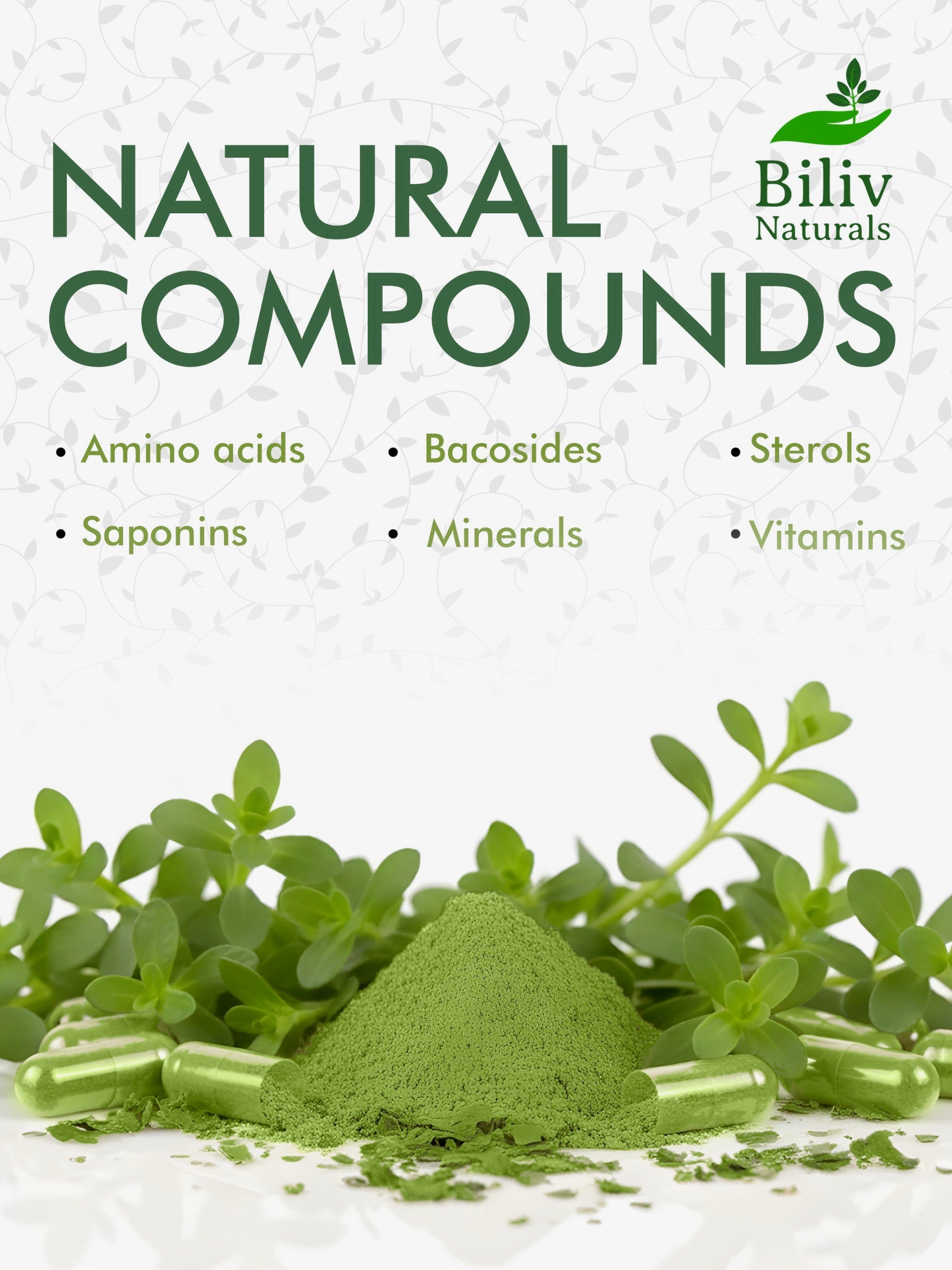 Brahmi Leaf (Bacopa Monnieri) Capsules — 1000 mg Per Serving, 120 Count